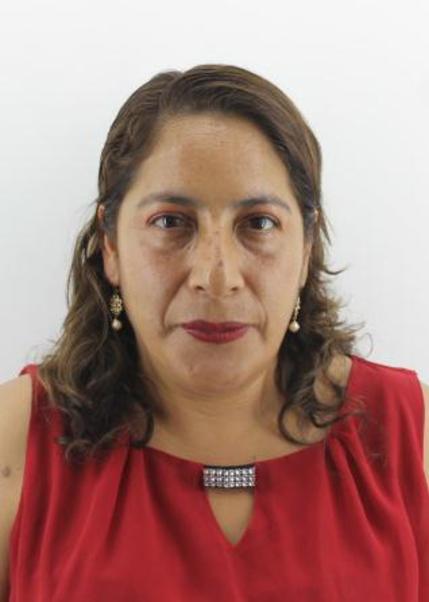 Candidato ROSA YOJANY HOLGUIN CAMPOS