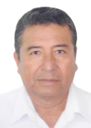 Julio Demetrio Veliz AvendaÑo