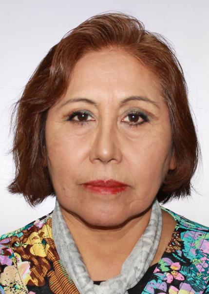 Patricia hidalgo mamani de gallegos