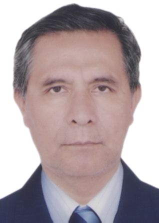 Ricardo Villena Tapia