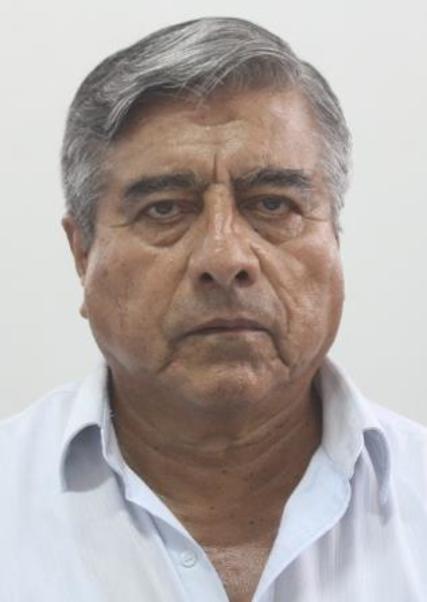 Mario Arellano Ramirez