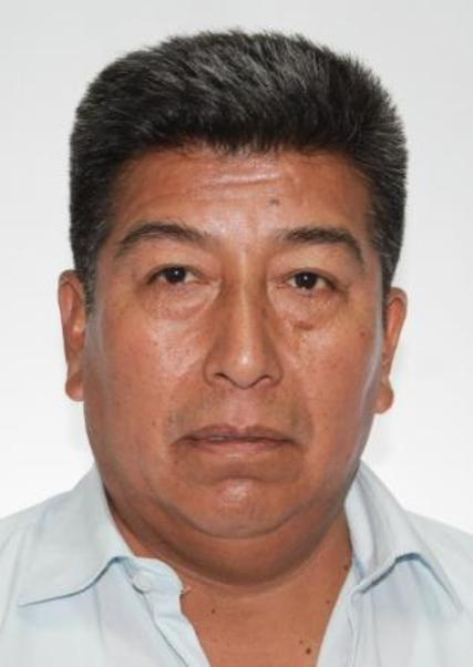 Mario Nicolas Mendoza Espinoza