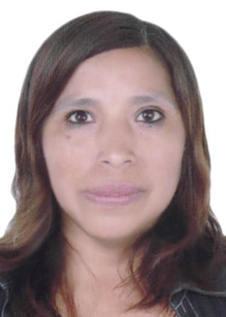 Sonia Marisol Apcho Chira